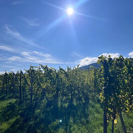 Le Clos Des Vignes - Charme Au Coeur Du Vignoble Casa de Férias *