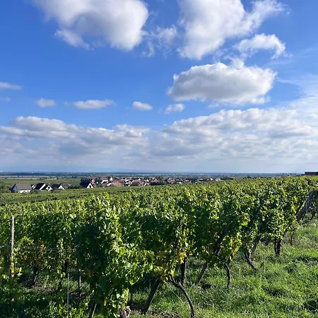 Le Clos Des Vignes - Charme Au Coeur Du Vignoble Pfaffenheim